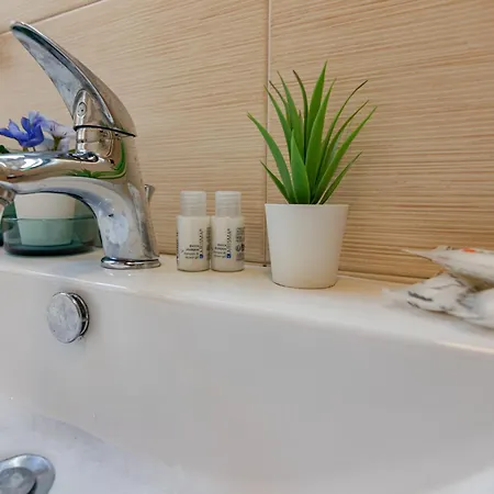 Brd 41 12- Ponte Vecchio Spacious Penthouse شقة فلورنس