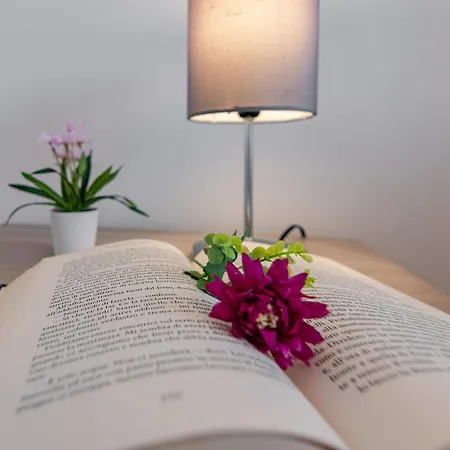 Brd 41 12- Ponte Vecchio Spacious Penthouse شقة